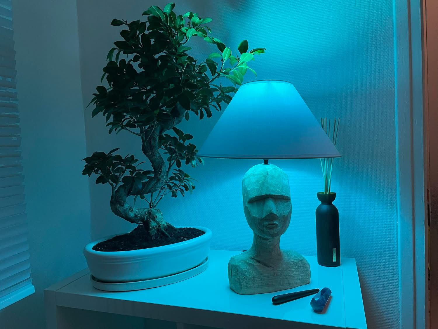 Ambiance zen du cabinet — bonsaï et éclairage turquoise